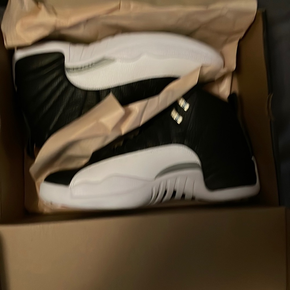 Jordan retro 12